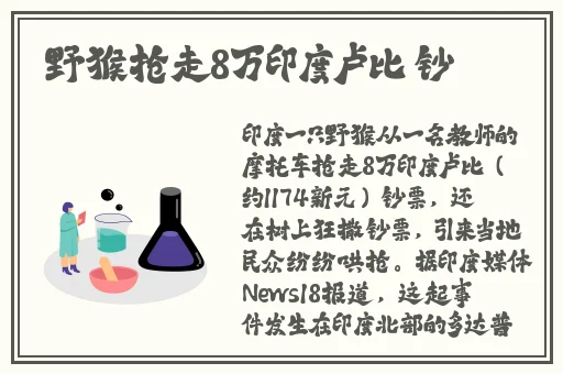 www菠萝蜜水蜜桃